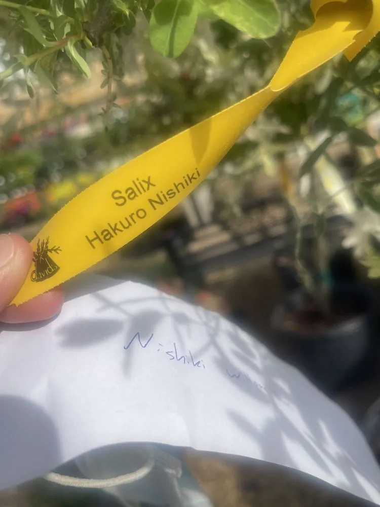 Top-rated landscape design in Derry, NH by Delahunty Garden & Landscape Center