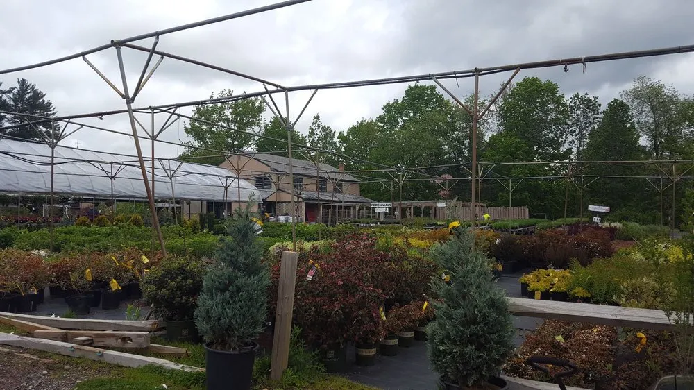 Reliable landscape installation in Derry, NH - Delahunty Garden & Landscape Center