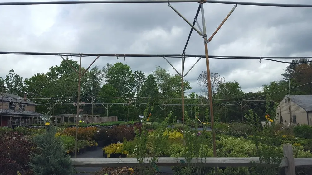 Top-rated landscaping services in Derry, NH by Delahunty Garden & Landscape Center