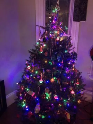 Delahunty Garden & Landscape Center Logo