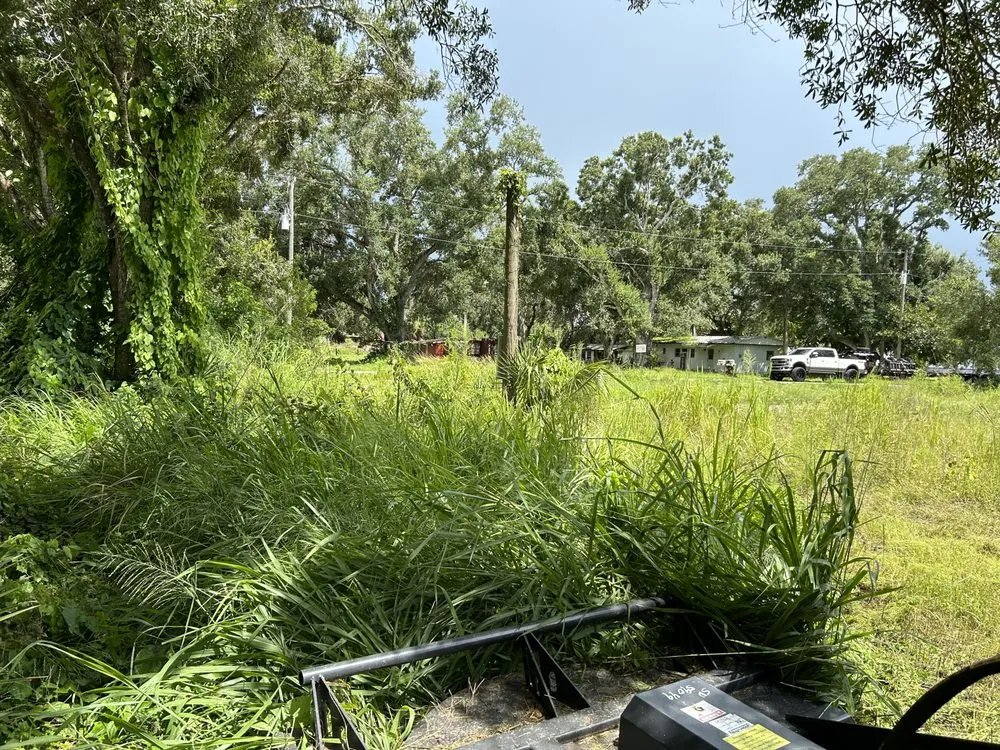 Custom landscaping services in Okeechobee, FL - Delalto’s All around works