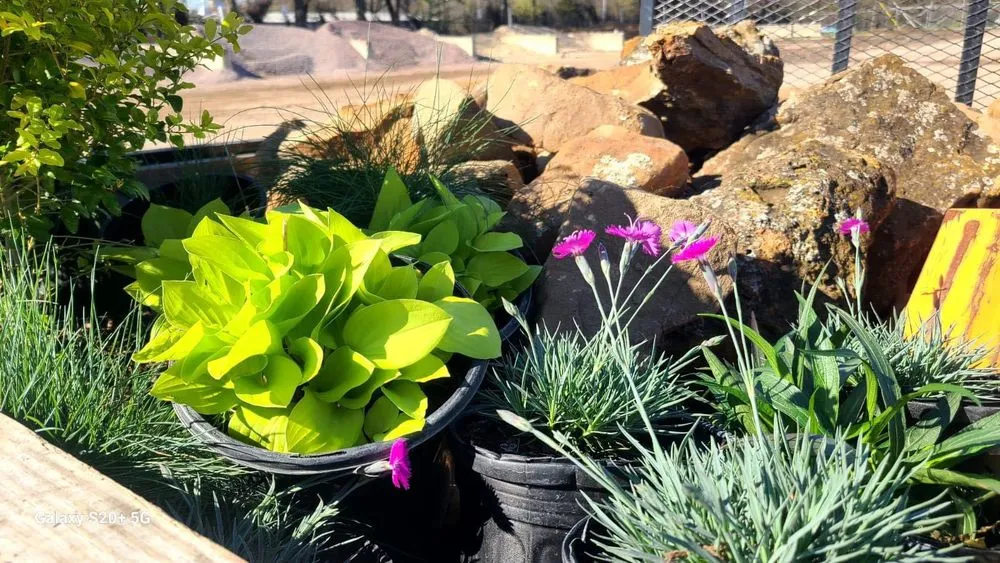 Reliable residential landscaping in Fort Worth, TX by Delaney's Lawn Care