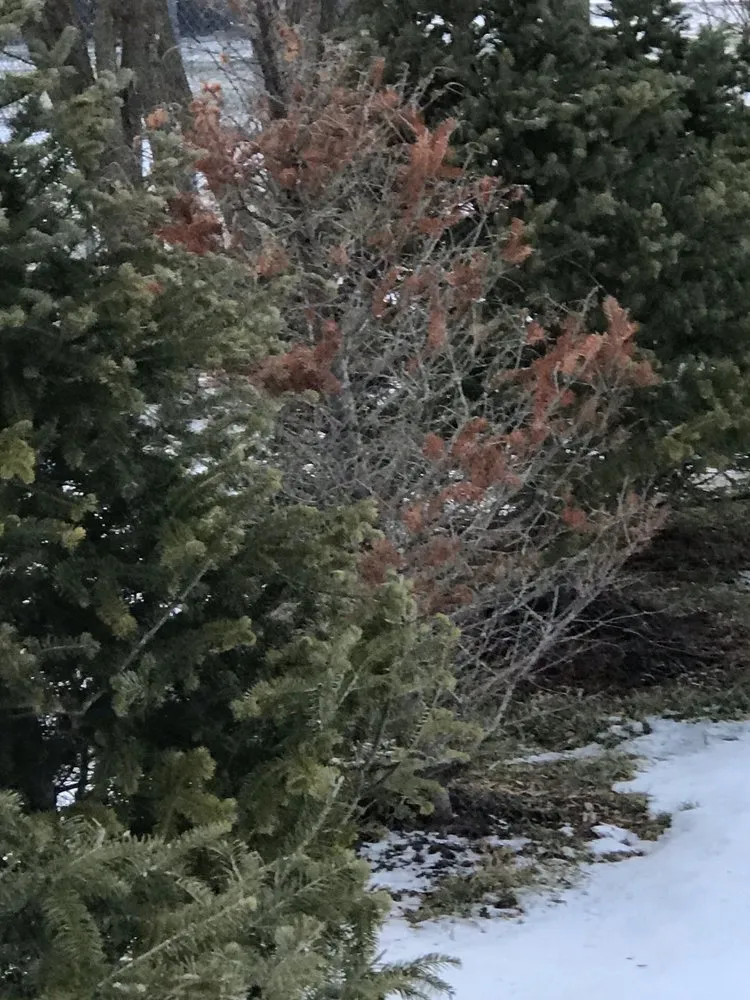 Reliable yard maintenance near you across Delanson, NY - Delanson Gardens