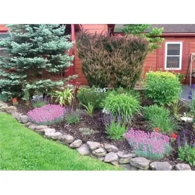 Top-rated garden landscaping with custom design across Delanson, NY - Delanson Gardens