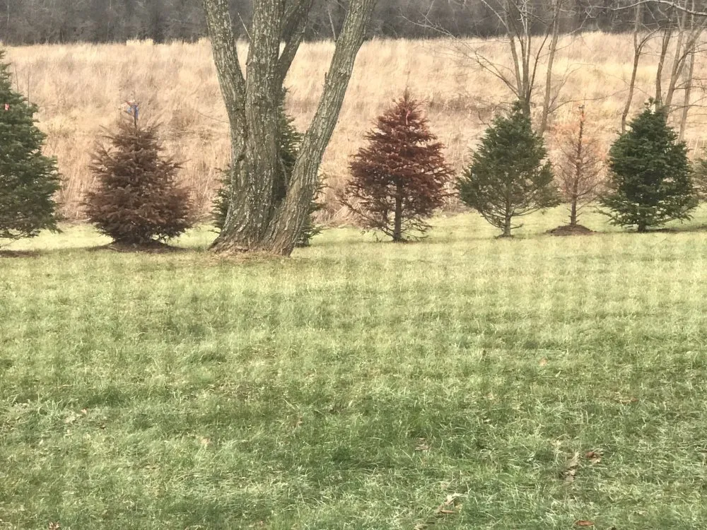 Local garden landscaping for homes in Delanson, NY by Delanson Gardens