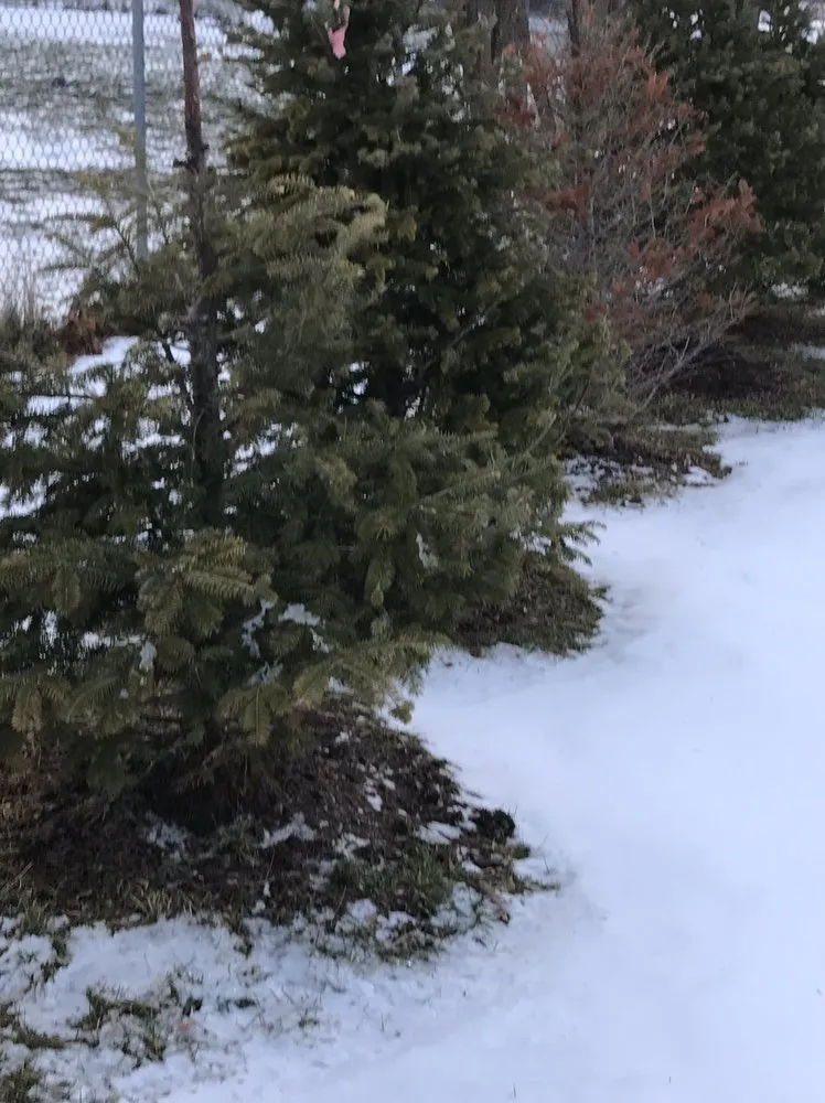 Local landscape design for beautiful yards in Delanson, NY by Delanson Gardens