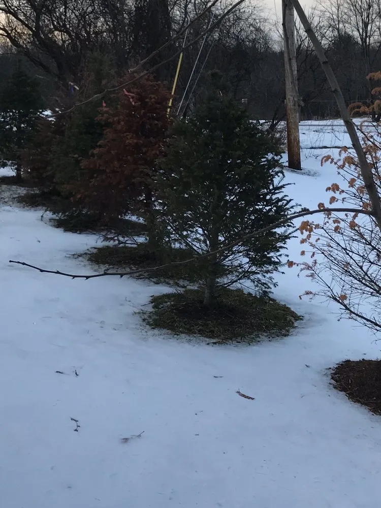 Affordable landscape installation for residential properties across Delanson, NY - Delanson Gardens