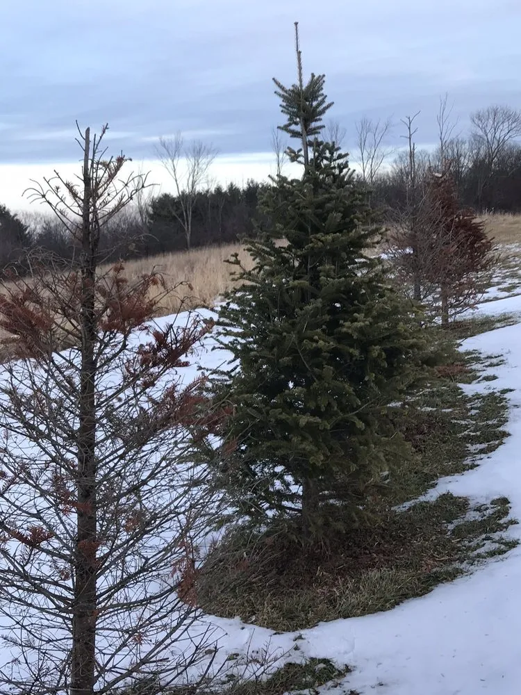 Top-rated landscape design in Delanson, NY by Delanson Gardens