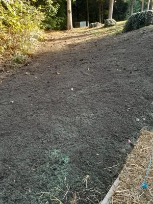 Delapaz's Landscaping Logo