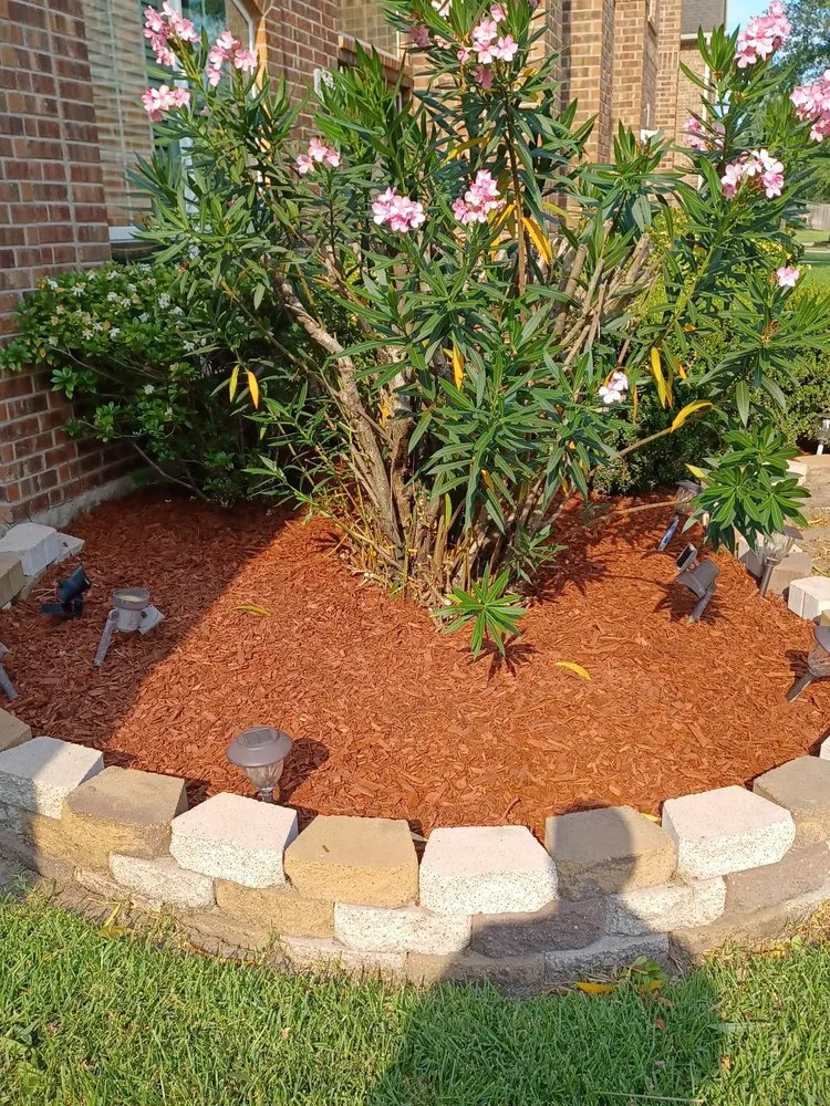 Custom landscape installation experts serving Houston, TX - Delarca Fence Installation & Repair Services