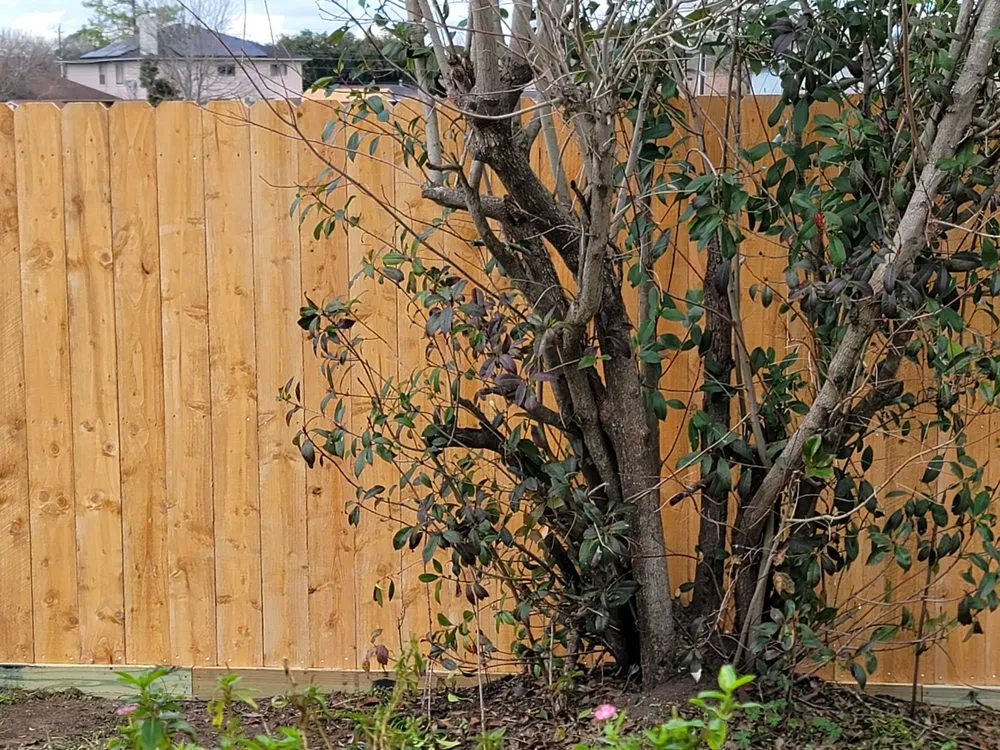 Custom landscape design experts serving Houston, TX - Delarca Fence Installation & Repair Services
