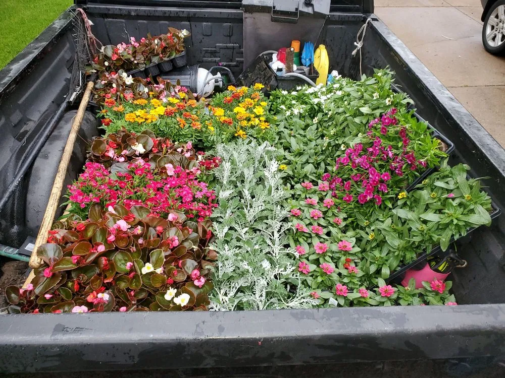 Reliable yard cleanup service experts serving Lewisville, TX - Delarosa Landscape