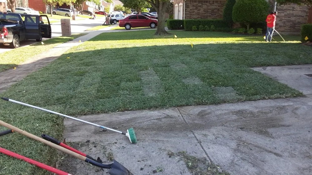 Affordable yard cleanup service for homes in Lewisville, TX by Delarosa Landscape