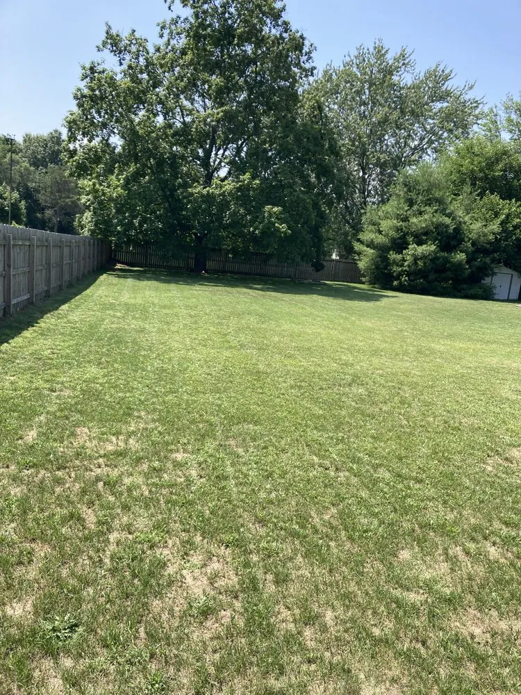 Expert lawn care service in Parchment, MI by Delarosa Lawn Care