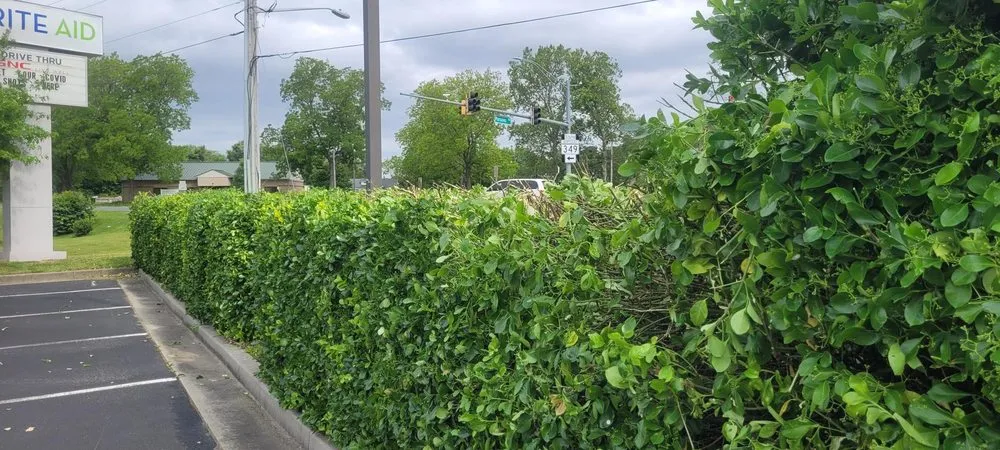 Top-rated yard cleanup service in Frankford, DE by Delaware Commercial Lawn Care