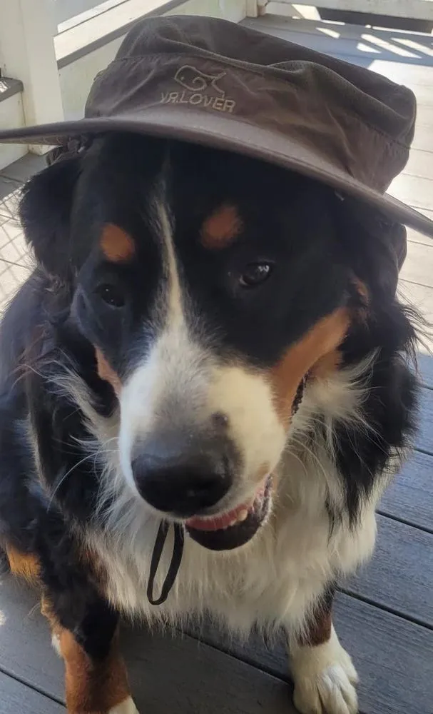 Local garden landscaping in Ocean Pines, MD - Delaware Commercial Lawn Care