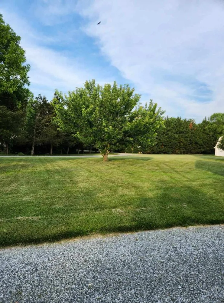 Local landscape installation in Frederica, DE - Delaware Lawn Care