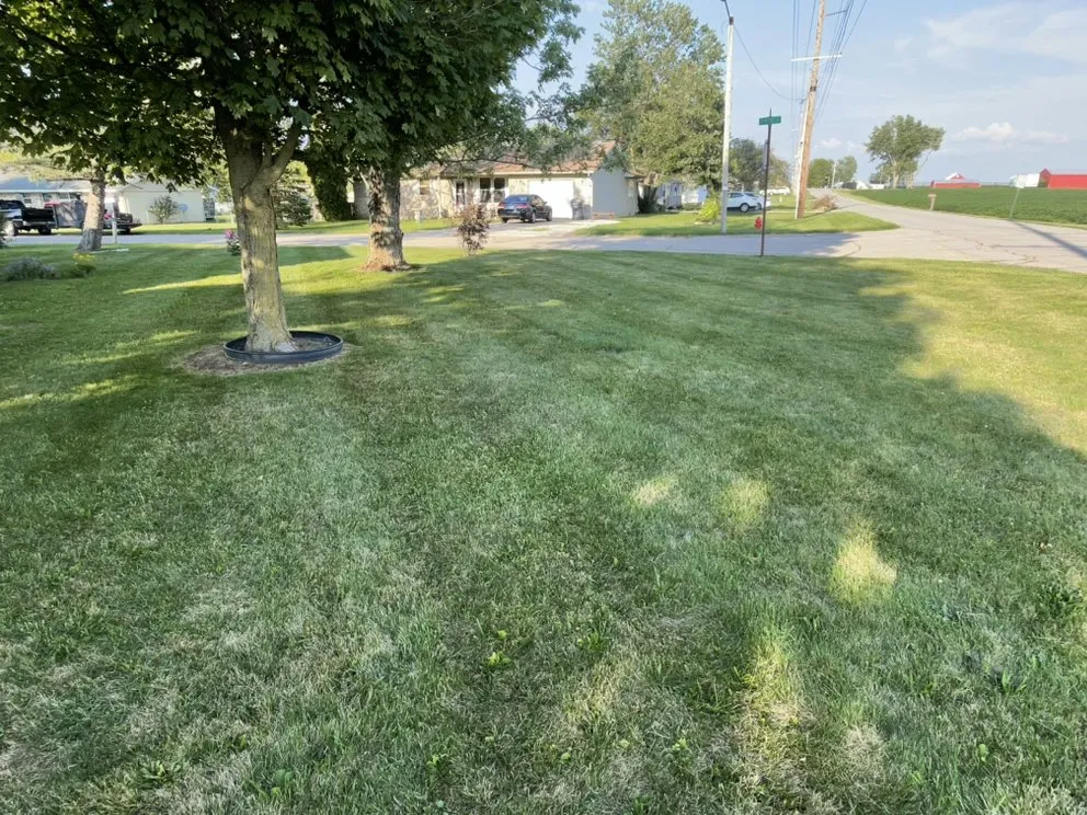 Affordable landscape installation in Muncie, IN by Delaware Lawn Care Property Maintenance