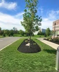 Top-rated landscape installation experts serving Muncie, IN - Delaware Lawn Care Property Maintenance