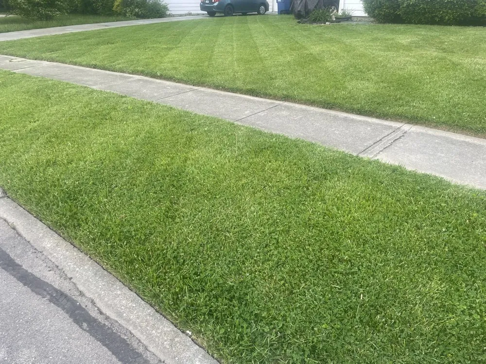 Local lawn care service in Muncie, IN by Delaware Lawn Care Property Maintenance