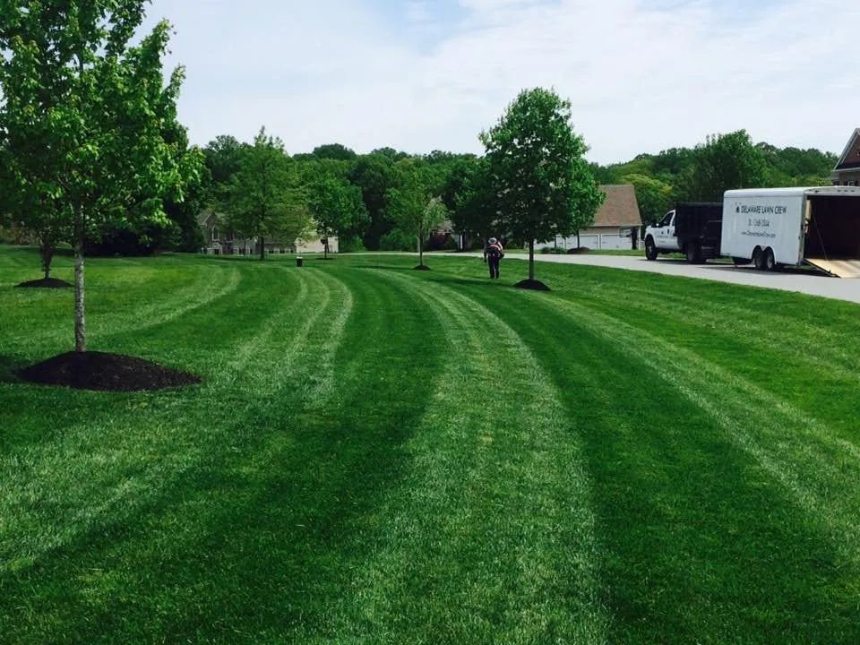 Affordable landscape installation in Wilmington, DE - Delaware Lawn Crew