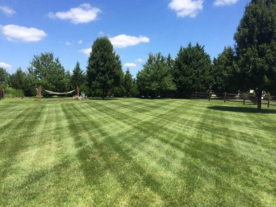 Custom landscaping services in Wilmington, DE - Delaware Lawn Crew