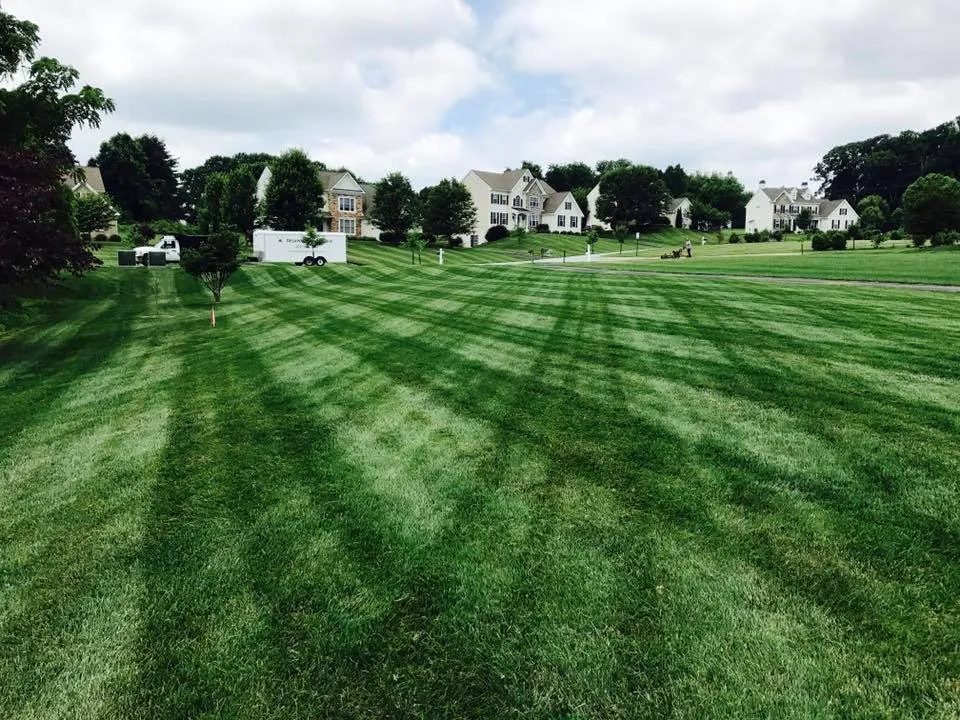 Professional residential landscaping in Wilmington, DE by Delaware Lawn Crew