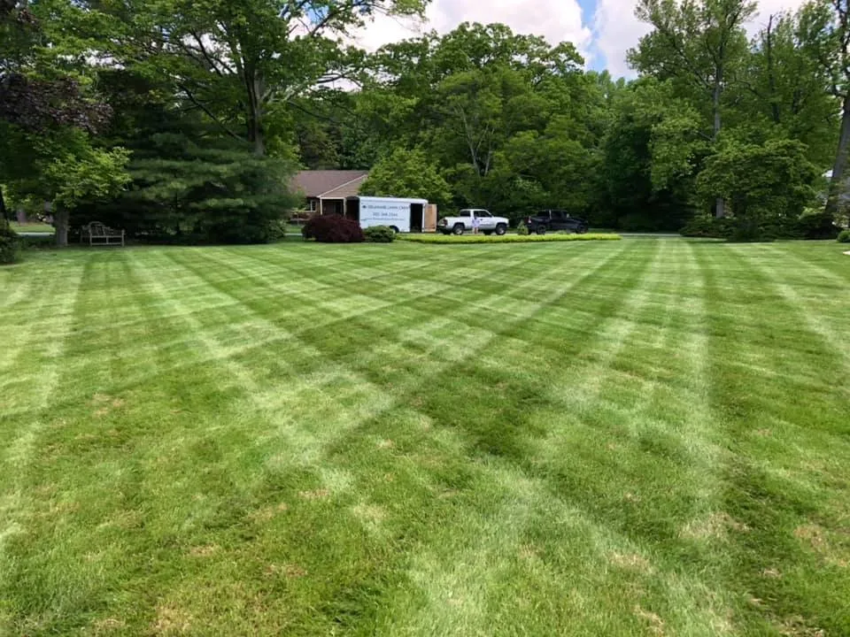 Reliable landscaping services in Wilmington, DE - Delaware Lawn Crew