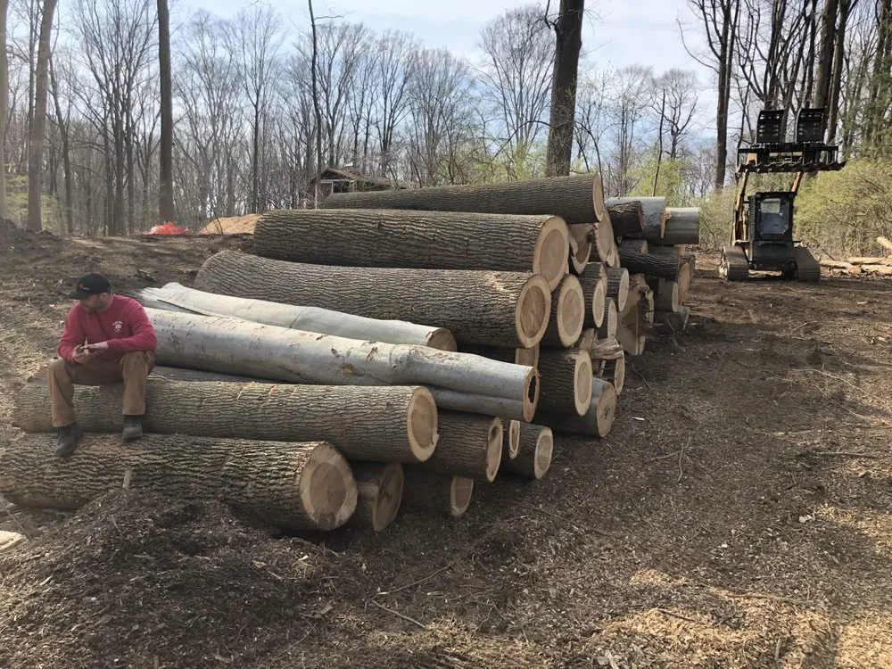 Affordable residential landscaping with custom design across Broomall, PA - Delaware Valley Tree & Landscaping, Inc.