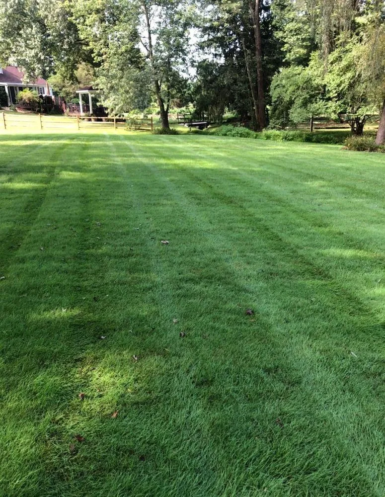 Trusted garden landscaping in Broomall, PA - Delaware Valley Turf