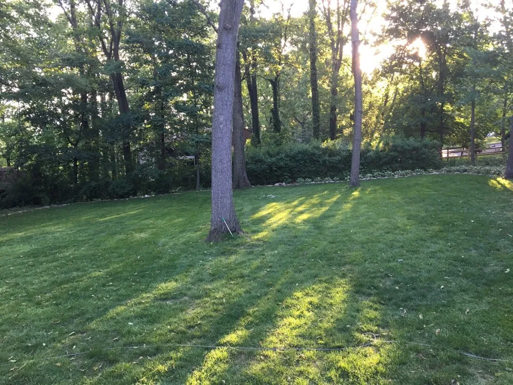 Custom lawn mowing service in Broomall, PA by Delaware Valley Turf