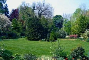 Local yard cleanup service for residential properties across Broomall, PA - Delaware Valley Turf