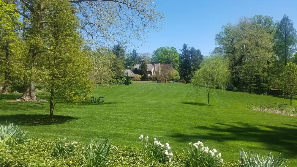 Local landscape design in Broomall, PA by Delaware Valley Turf