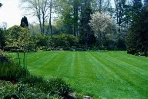 Top-rated lawn care service near you in Broomall, PA by Delaware Valley Turf