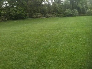 Reliable landscape installation for year-round maintenance in Broomall, PA by Delaware Valley Turf
