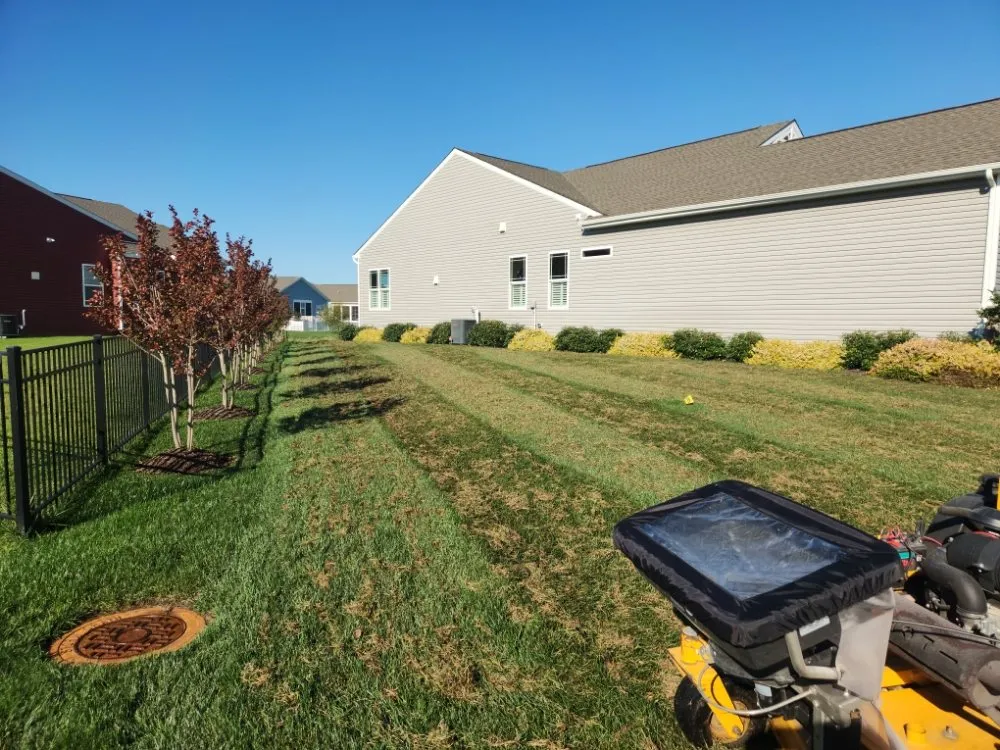 Local yard cleanup service in Seaford, DE - Delawn Enforcement