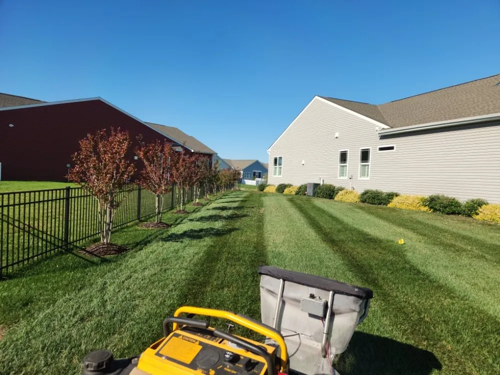 Trusted yard cleanup service in Seaford, DE - Delawn Enforcement
