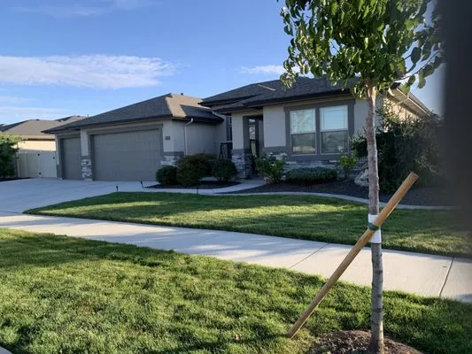 DeLawnscaping Sprinklers & Mow Logo