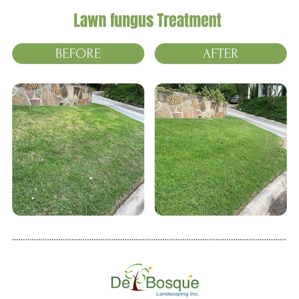 Professional landscaping services in Rockwall, TX - DelBosque Landscaping