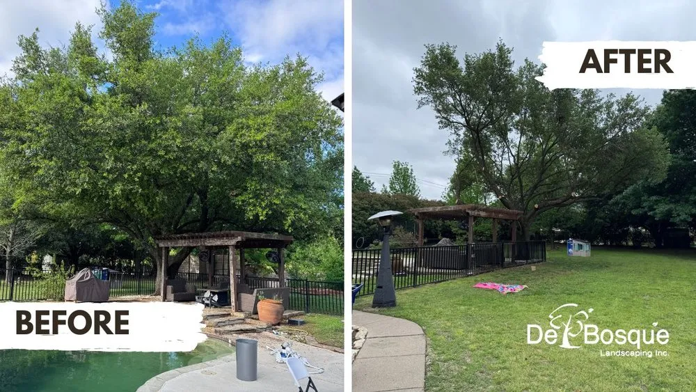 Professional landscape installation in Rockwall, TX by DelBosque Landscaping