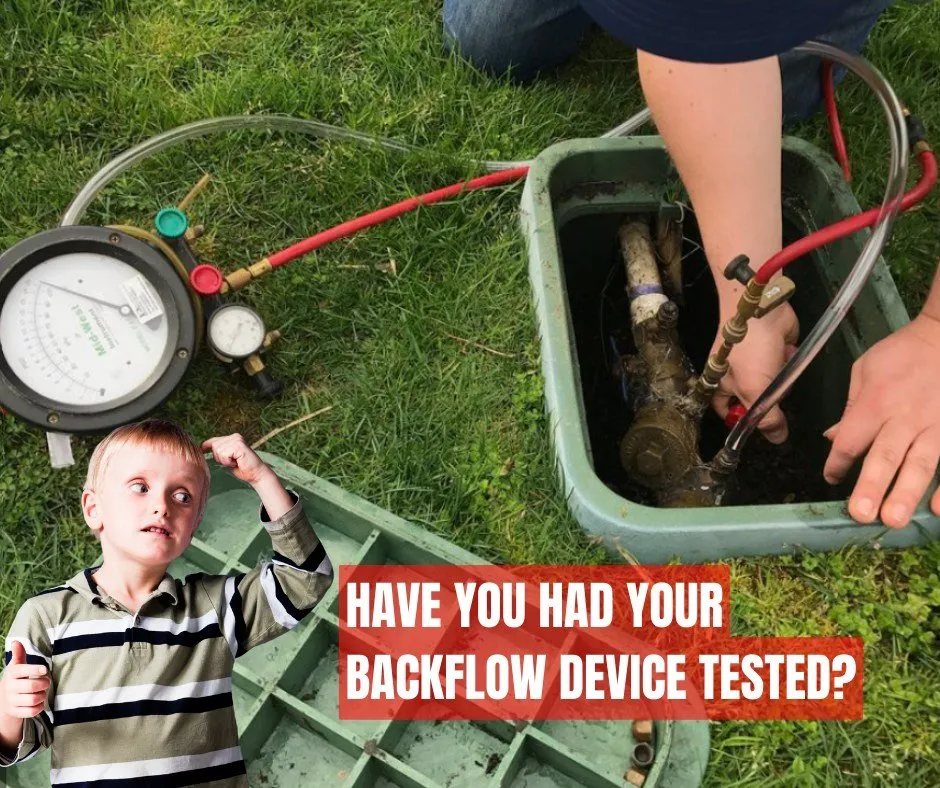 Affordable lawn care service for homes in Rockwall, TX by DelBosque Landscaping