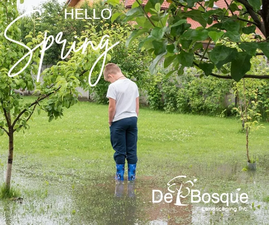 Local residential landscaping in Rockwall, TX by DelBosque Landscaping