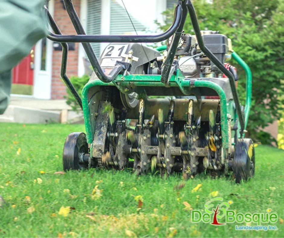 Top-rated residential landscaping experts serving Rockwall, TX - DelBosque Landscaping