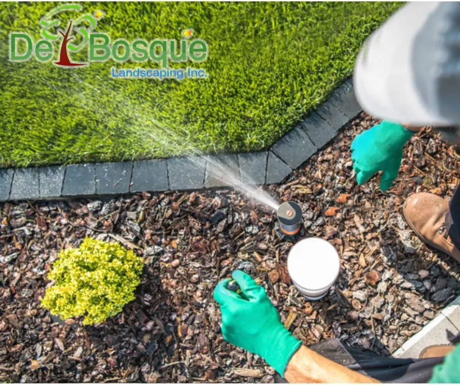 Affordable lawn care service in Rockwall, TX - DelBosque Landscaping