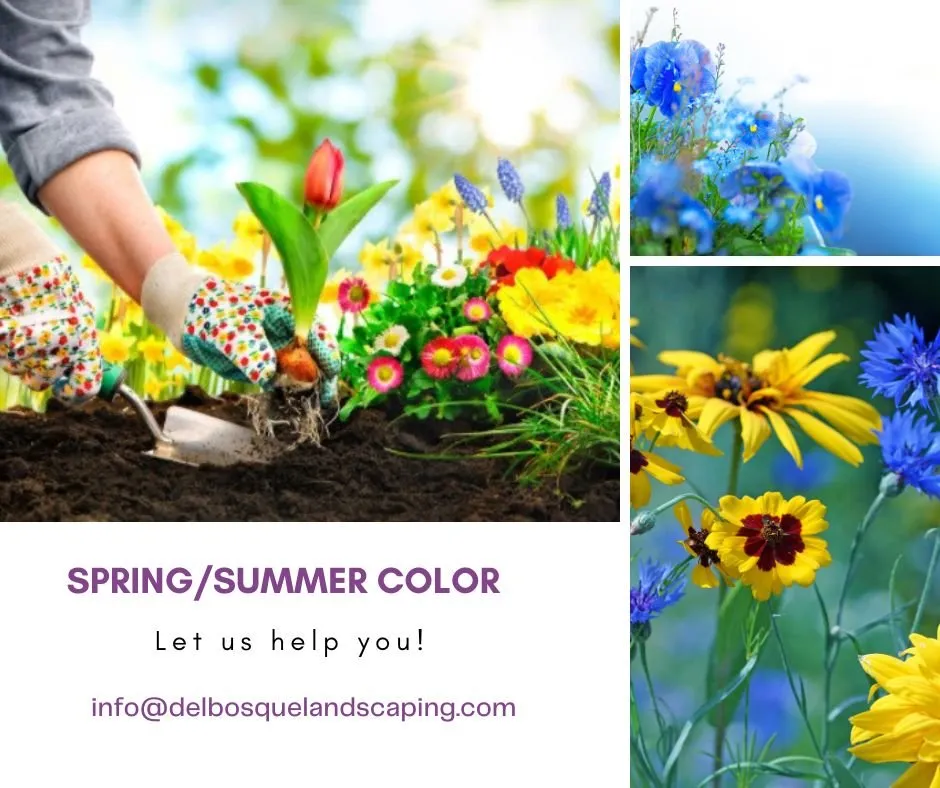 Affordable yard cleanup service in Rockwall, TX by DelBosque Landscaping