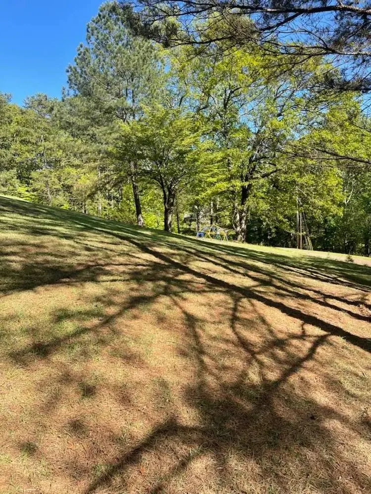 Professional landscape installation for outdoor upgrades across Oxford, MS - Delbridge Landscaping & Maintenance