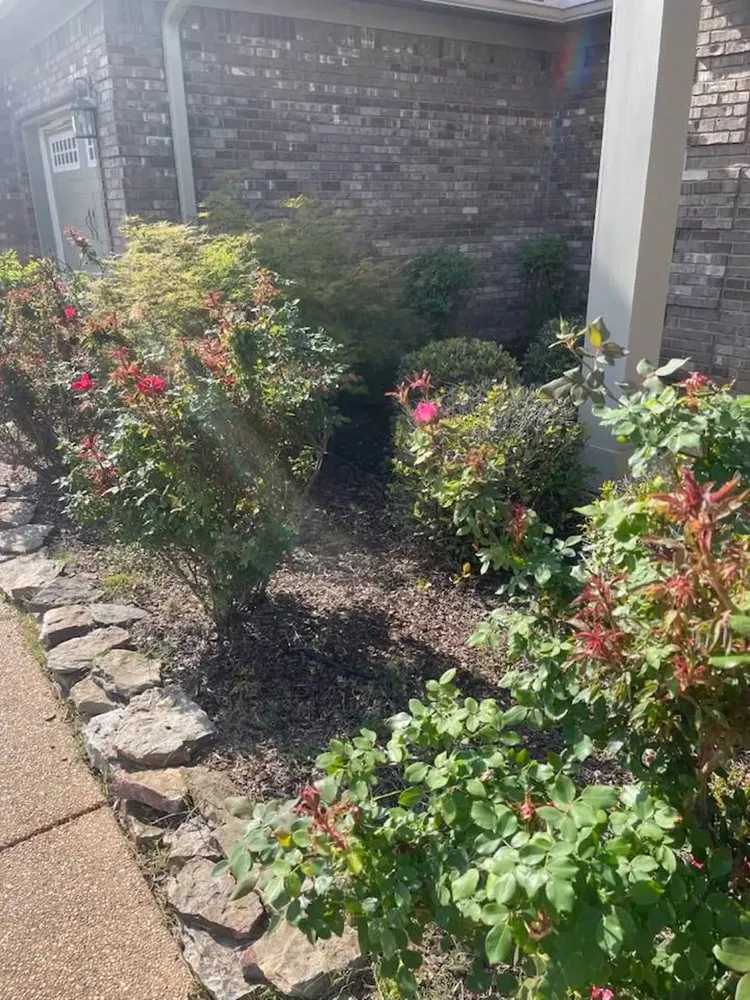 Top-rated garden landscaping for homes in Oxford, MS by Delbridge Landscaping & Maintenance