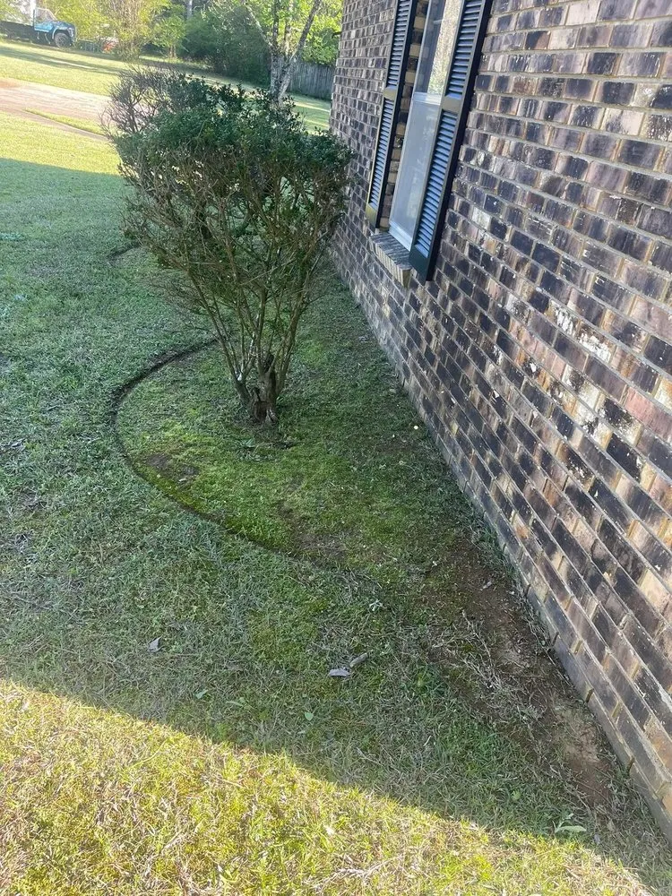 Professional residential landscaping for beautiful yards across Oxford, MS - Delbridge Landscaping & Maintenance