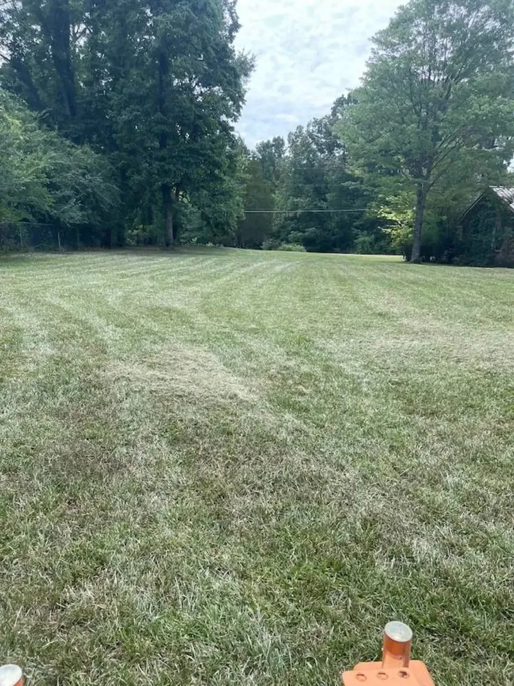 Custom yard maintenance near you in Oxford, MS by Delbridge Landscaping & Maintenance