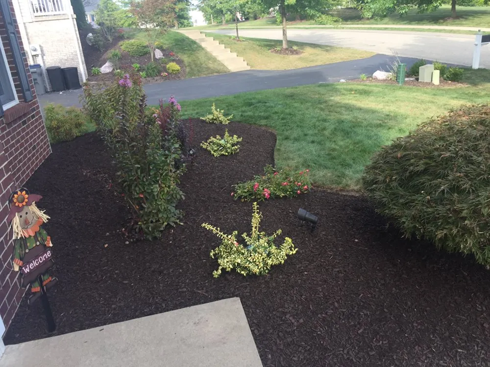 Expert yard maintenance for residential properties across Canonsburg, PA - Delbusso Landscaping